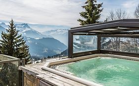 Hôtel Le Grand Chalet